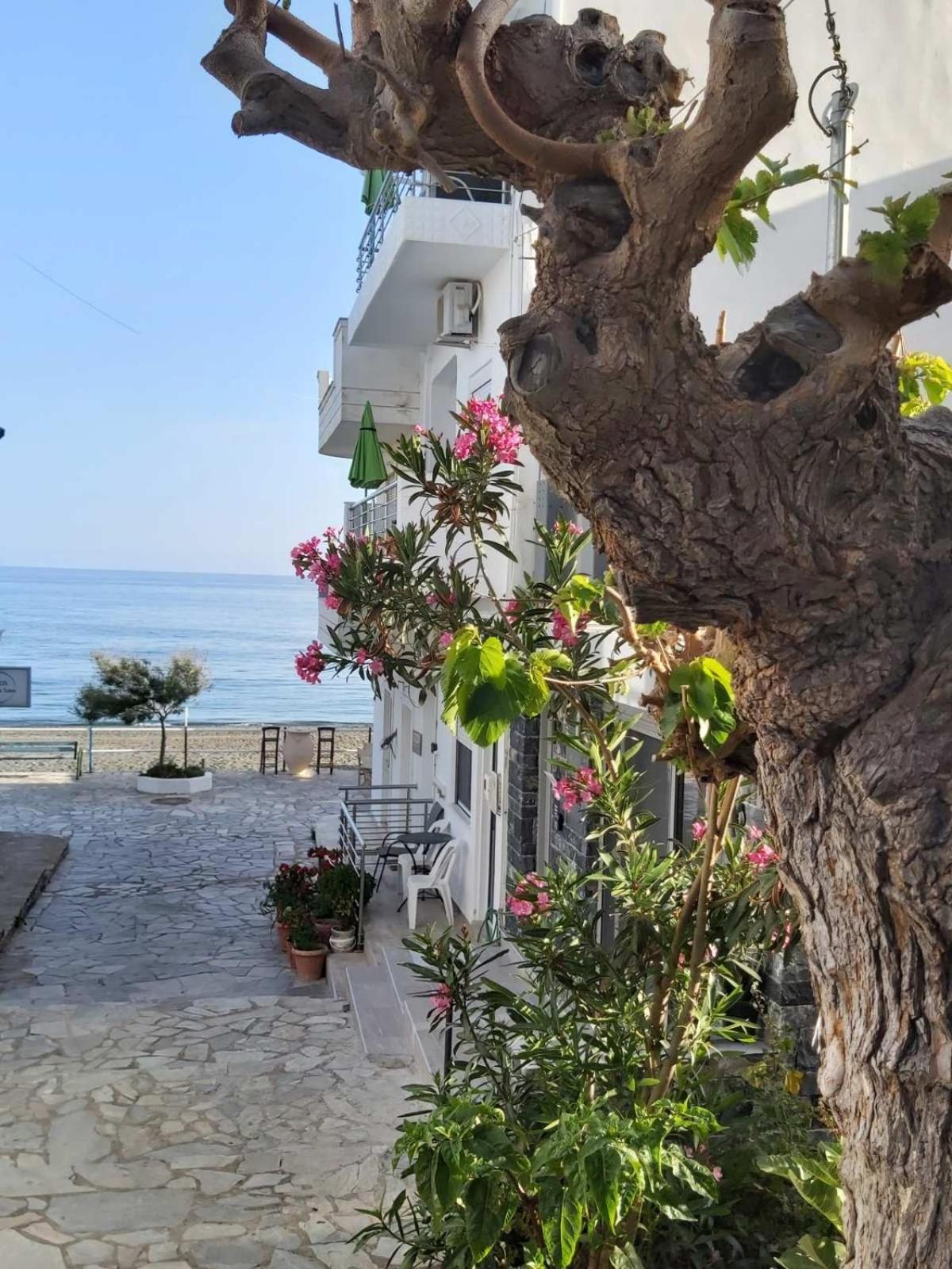Cosy Myrtos (Crete)